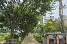 경기도 ‘평택 바람길숲’, 산림청 선정 ‘산책하기 좋은 도시숲’