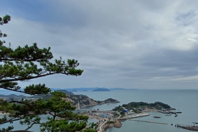 연명치료