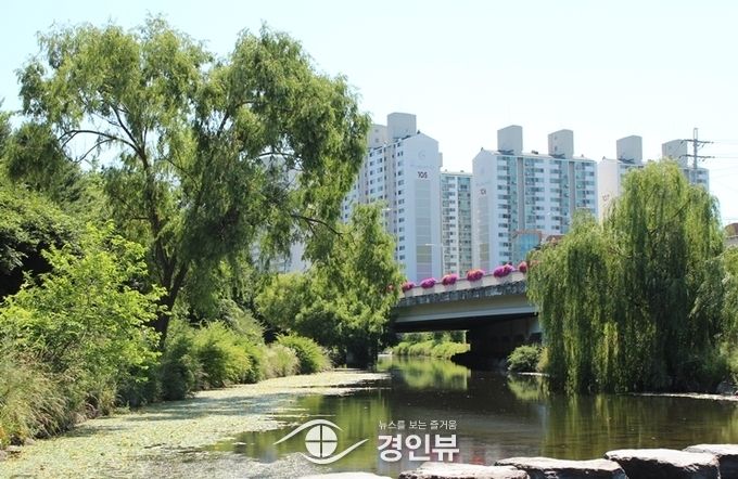 사진은 수원 광교