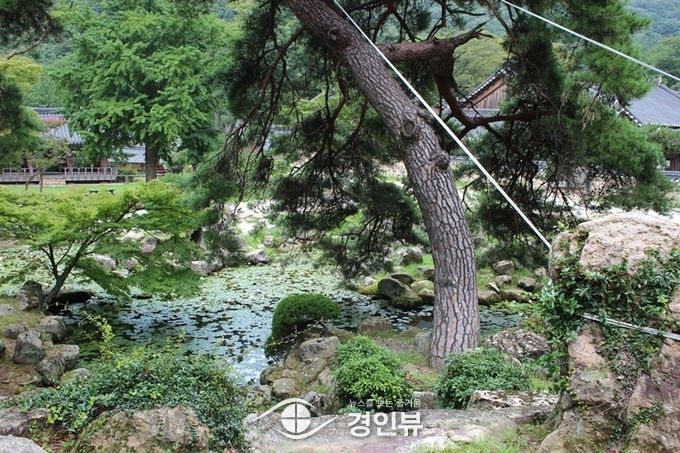 표충사 입구에 있는 작은 연못