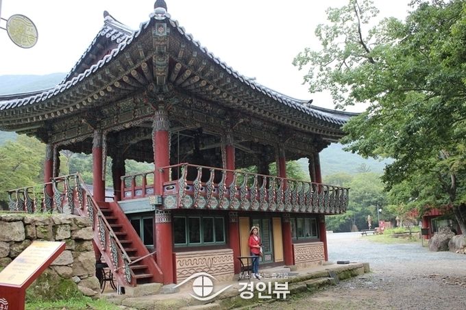 종루와 보호수