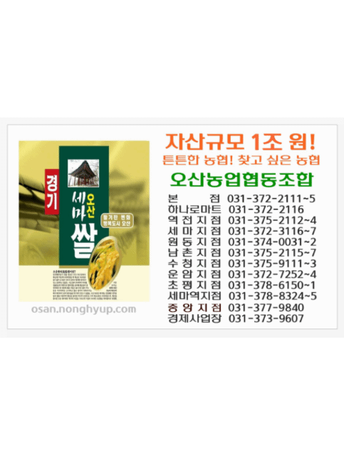 배너