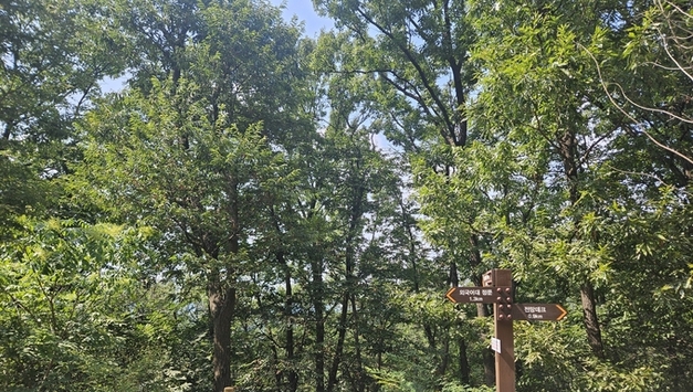 용인특례시, 광교산 둘레길 2차 구간·왕산리 숲길 정비 완료