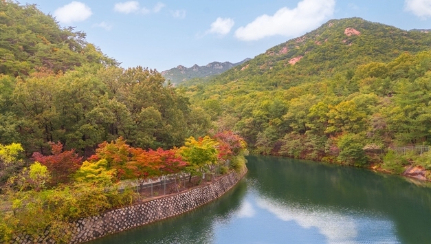 서울대 안양 수목원 58년만에 시민에 개방