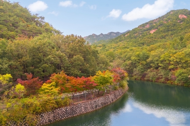 서울대 안양 수목원 58년만에 시민에 개방