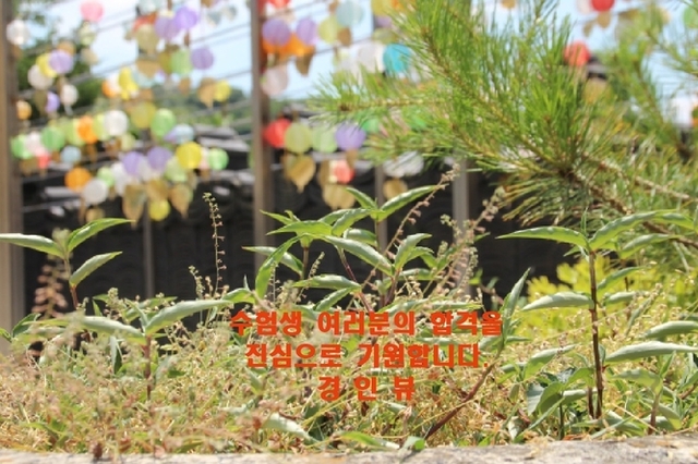 수험생 여러분의 합격을 진심으로 기원합니다