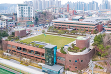 광명시, 야생 너구리 출몰 증가… 시민·반려동물 안전 주의 당부