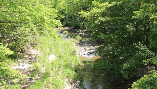 시보다 가곡이 더 유명했던 ‘개여울’