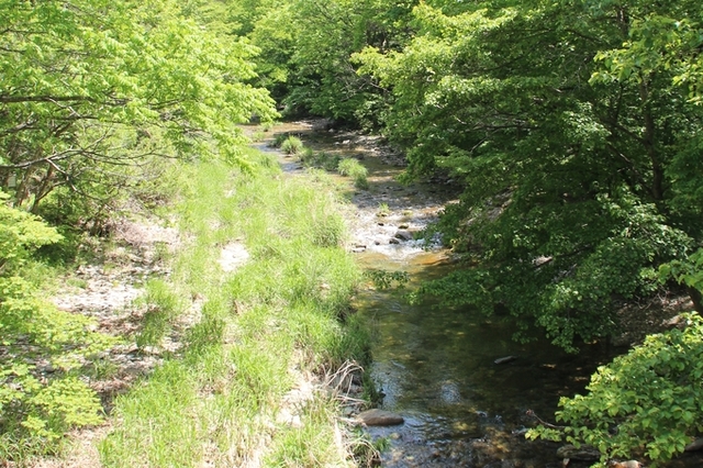 시보다 가곡이 더 유명했던 ‘개여울’