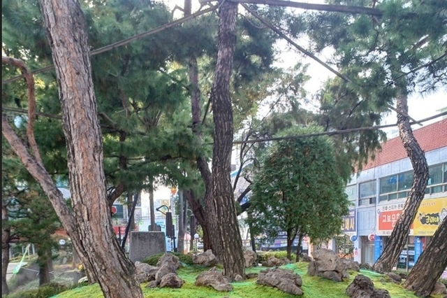 ‘부천시 이로운 탄소중립 마을정원’ 경기 우수 마을정원에 선정