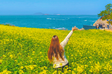 사람보다 꽃을 더 많이 만난다… 승우여행사, 국내 봄꽃 트레킹 여행 추천