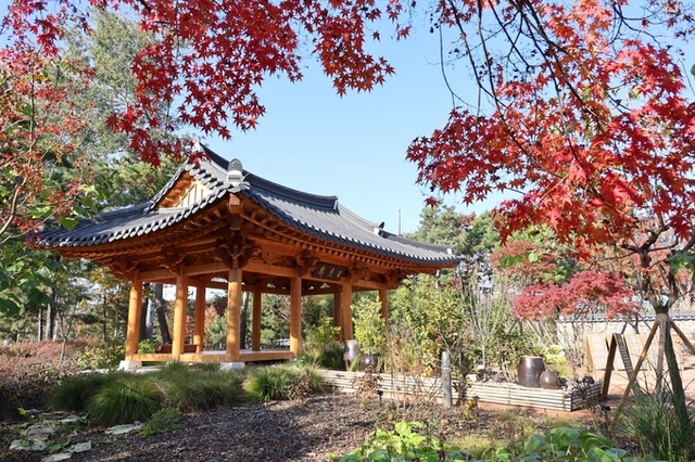 산림청 주관 꼭 가봐야 할 수목원에 수원 일월수목원 선정