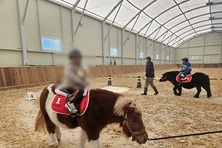 경기도, 미취학 어린이 ‘무료 말 체험’ 3천 명으로 확대. 31일부터 선착순 모집