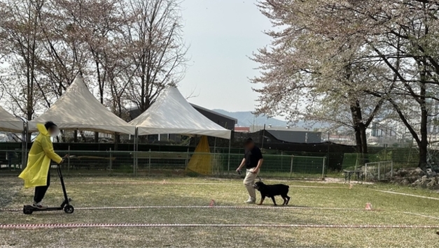 경기도, “맹견 키우려면 올해 말까지 꼭 허가 받으세요”