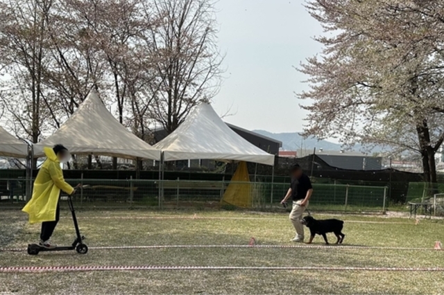 경기도, “맹견 키우려면 올해 말까지 꼭 허가 받으세요”