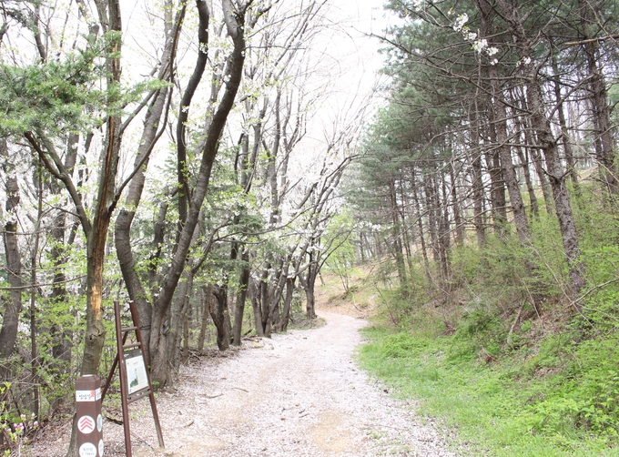 먼 후일 / 김소월