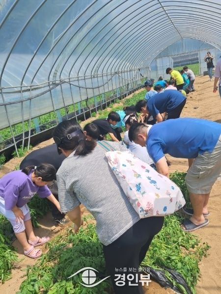 의왕시 드림스타트 가족캠프. 즐거운 농촌 체험