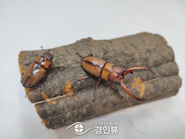 의왕 조류생태과학관, 멸종 위기 야생생물 복원 앞장