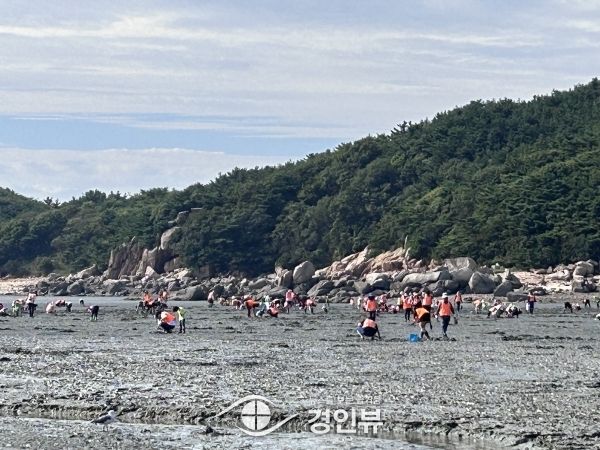 인천남부교육지원청, 영종도 갯벌 및 문학산 생태 탐방 교사 연수